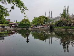 -嘉定紫藤园