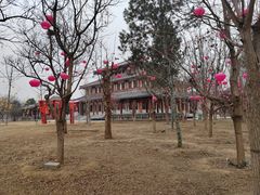 -函谷关历史文化旅游区