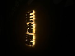 -毛辣果·酸
