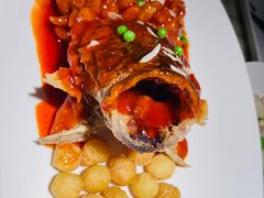 -吴越荣记苏州菜·松鼠桂鱼 100% 活鱼现做(月光码头店)