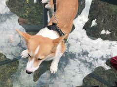 -木兰云雾山