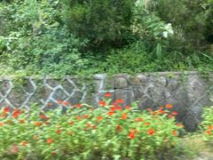 -将军关探险漂流