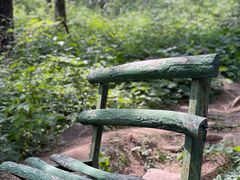 -鲁山国家森林公园