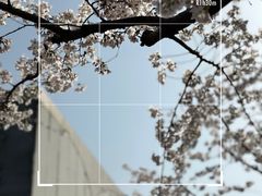 -龙美术馆(西岸馆)