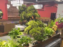 -洞庭家宴·头牌甲鱼(广渠门店)