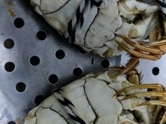 -七的湖·晚芳亭·阳澄湖农家菜·大闸蟹(莲花岛店)
