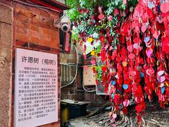 -晋江五店市传统文化旅游区