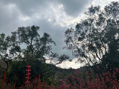 -桃花涧