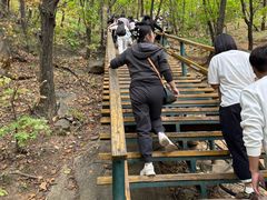 -吉林市朱雀山国家森林公园