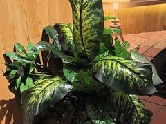 -蘸小院铁锅炖·蘸酱菜·东北菜(怀远门店)