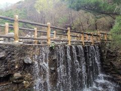 -王顺山国家森林公园