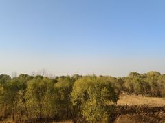 -黄河花园口旅游区
