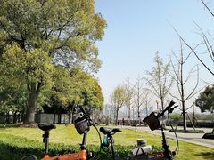 -龙美术馆(西岸馆)