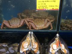 -蚝专家(北滘店)