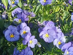 -江南大学(蠡湖校区)