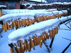 -雪谷