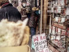 -孙奶奶葱包桧