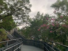 -福道