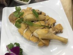 白切文昌鸡-墨脱石锅椰子鸡•香草鸭•东山羊(大东海店)