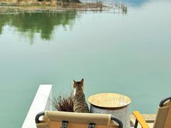 -东钱湖旅游度假区