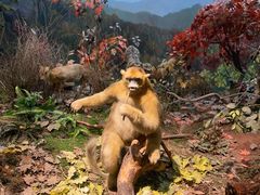 -陕西自然博物馆