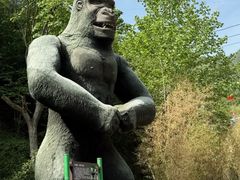 -栾川竹海野生动物园
