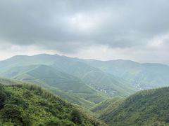 -莫干山风景区