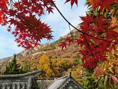 -青岛崂山太清宫