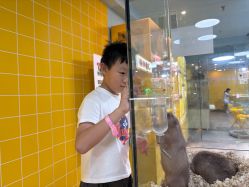 -神奇动物撸宠馆·羊驼·小浣熊·异宠(豫园店)
