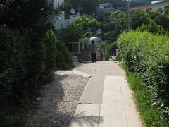 -南丫岛