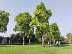 -养云安缦吧THE BAR