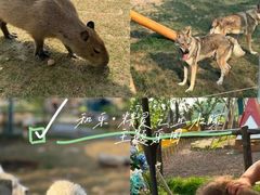 -老李家土菜馆·安吉地标美食