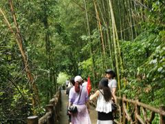 -燕子河大峡谷天坑仙境