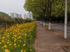 -江南大学(蠡湖校区)
