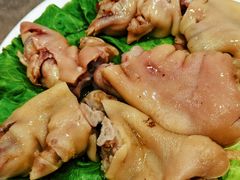 -丁老爷子苏香圆