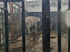 -新疆天山野生动物园