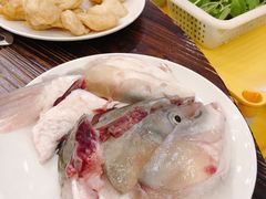 脆肉鲩鱼头-正能量脆肉鲩火锅