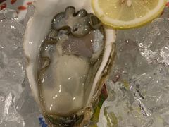 -辉记炭烧海鲜大排档·老字号(福田店)