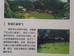 -西双版纳原始森林公园