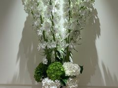 -京彩臻品火锅