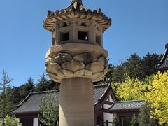-横山寺