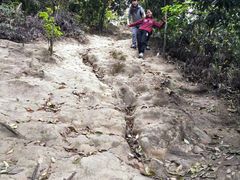 -南山植物园