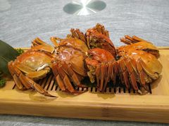 -小厨娘淮扬菜(板桥一店)