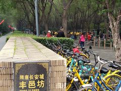 -唐城墙遗址公园