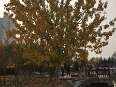 -绿岛公园(滨海新区)