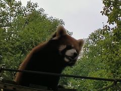 -上海野生动物园