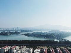 -湖景知味西餐厅•自助餐• 轻食(南京金茂威斯汀大酒店)