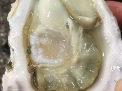 -蚝英雄鲜蚝自助专门店(长楹天街直营店)