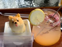 -柴犬高等学院·狗咖·柴犬售卖·宠物训练