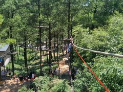 -梦幻奥陶纪景区